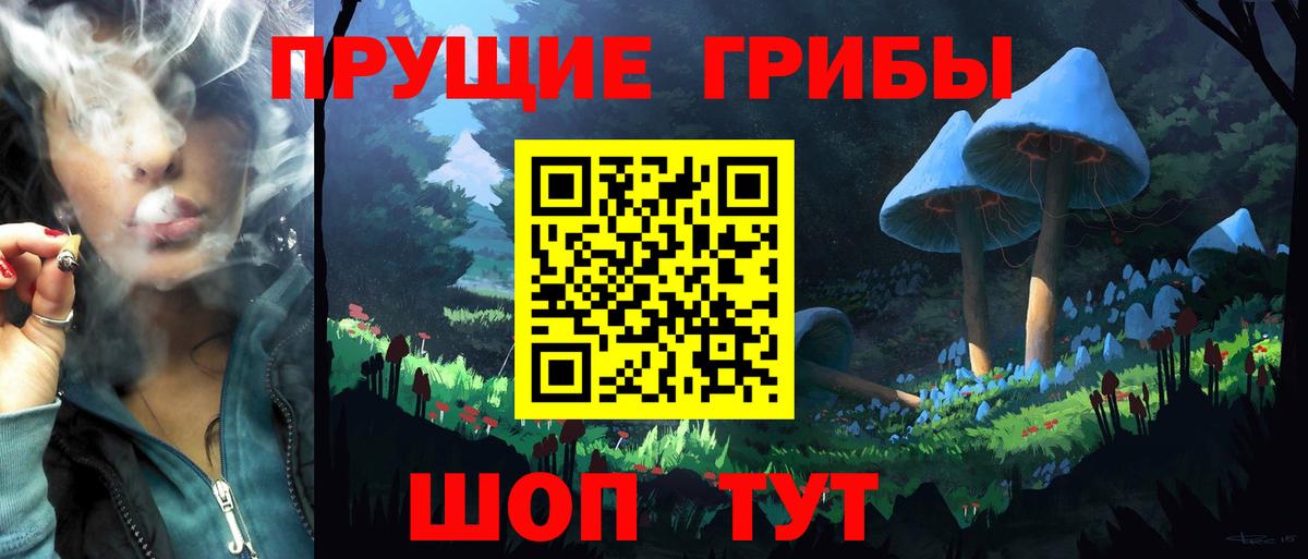 Галлюциногенные грибы прущие грибы  Вход с VPN  Людиново 